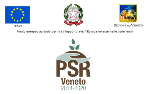 Fondo europeo agricolo per lo sviluppo rurale: l'Europa investe nelle zone rurali